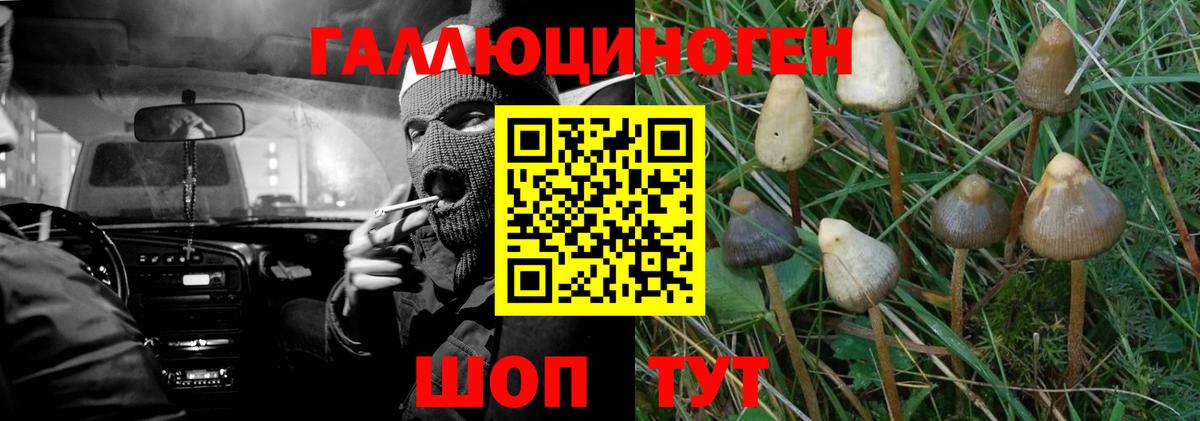 Галлюциногенные грибы мухоморы Борзя