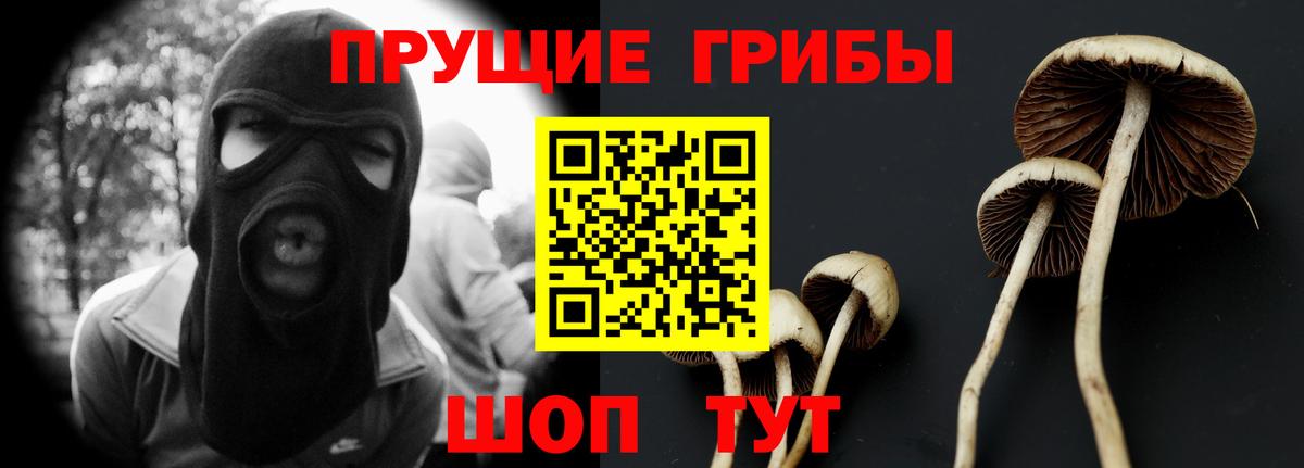 Псилоцибиновые грибы MAGIC MUSHROOMS  Галлюциногенные грибы GOLDEN TEACHER  Вход с VPN  Борзя 